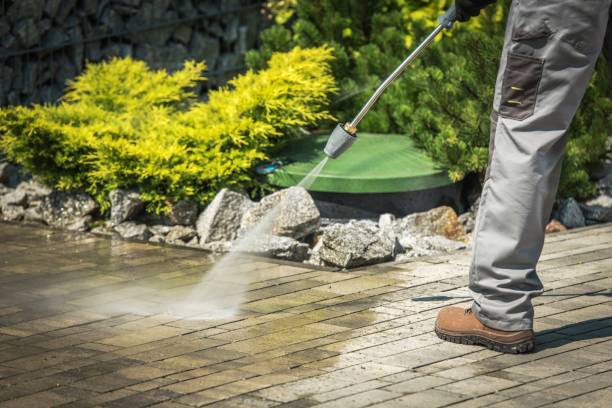 Best Gutter Cleaning  in Forty Fort, PA