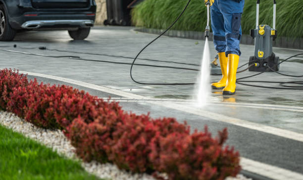 Best Building Exterior Washing  in Forty Fort, PA